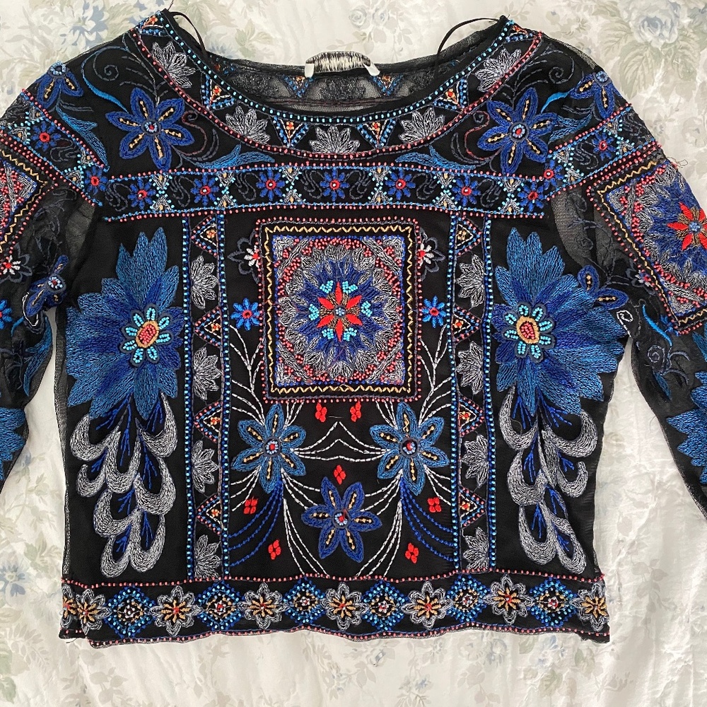 SOLD - Zara Embroidered Long Sleeve Crop Top